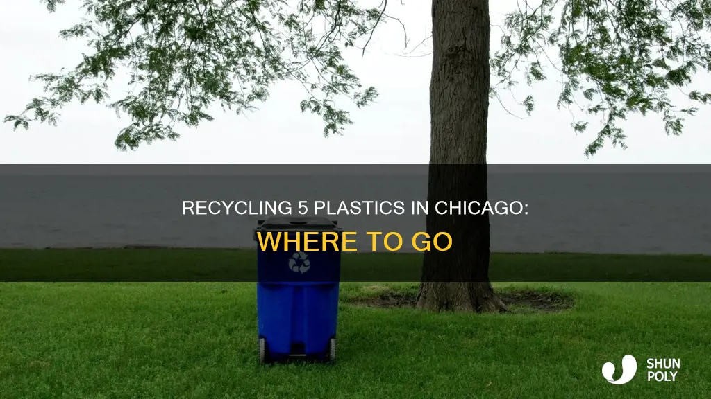 where to recycle 5 plastic chicago