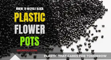 Recycling Black Plastic Flower Pots: Where and How?