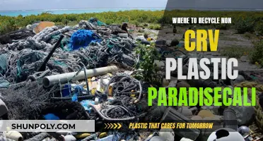 Recycling Non-CRV Plastic: A Guide for Californians