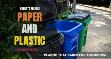 Recycling Paper and Plastic: Where to Go?