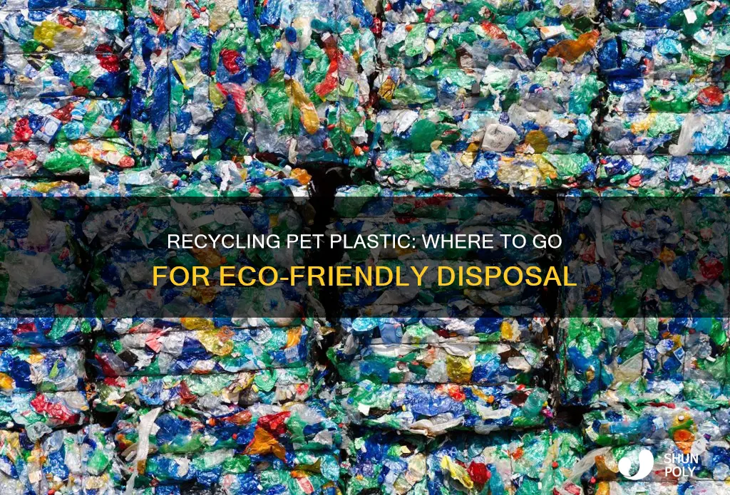 where to recycle pet plastic