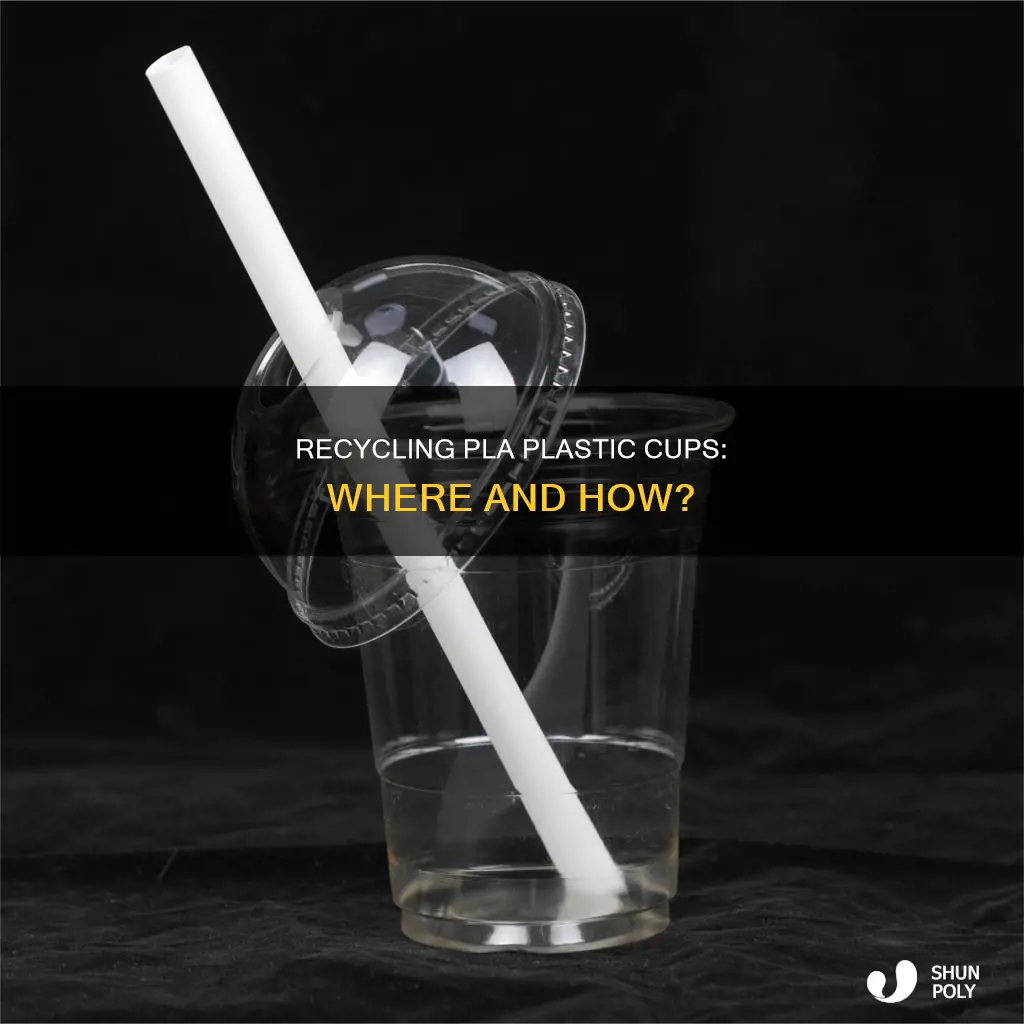 where to recycle pla plastic cups