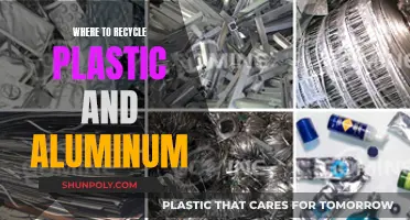 Recycling Revolution: Plastic and Aluminum Edition