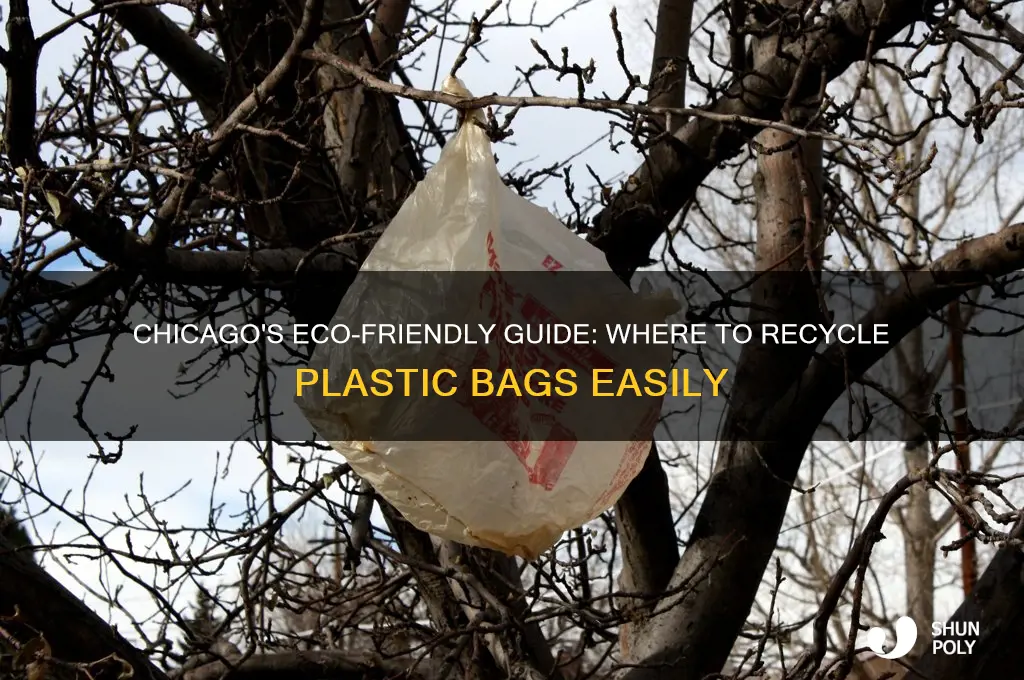 where to recycle plastic bags chicago