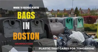 Boston's Eco-Friendly Guide: Where to Recycle Plastic Bags Locally
