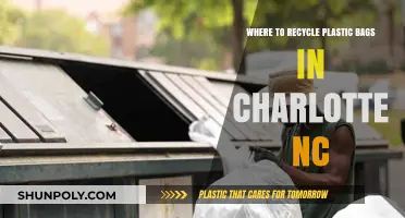 Charlotte's Eco-Friendly Guide: Where to Recycle Plastic Bags Locally