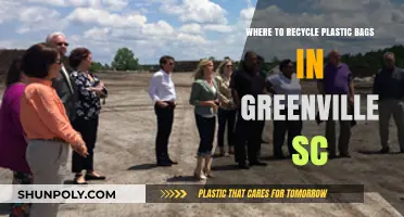 Greenville SC Plastic Bag Recycling: Locations and Eco-Friendly Tips