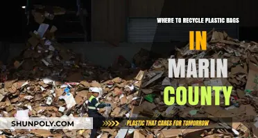 Marin County's Guide to Recycling Plastic Bags: Locations and Tips