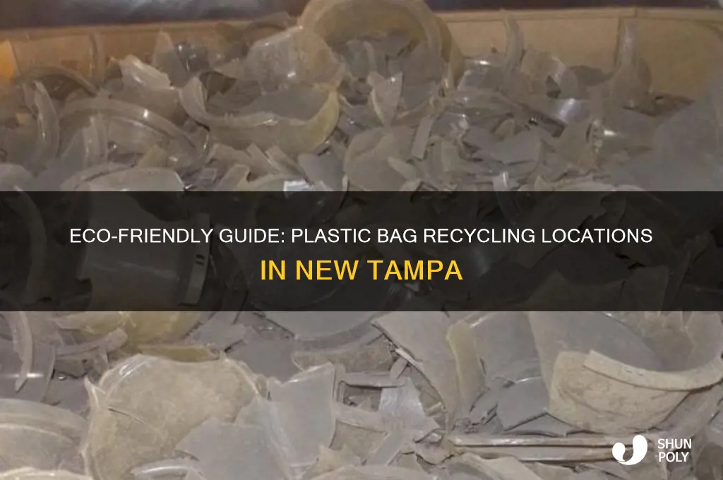 where to recycle plastic bags in new tampa
