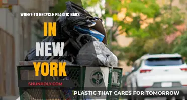 Eco-Friendly Disposal: Where to Recycle Plastic Bags in New York