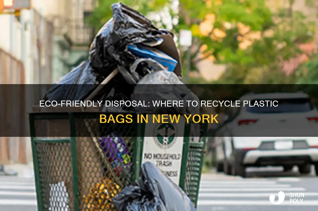 Eco-Friendly Disposal: Where To Recycle Plastic Bags In New York | ShunPoly