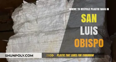 Eco-Friendly Guide: Plastic Bag Recycling Spots in San Luis Obispo