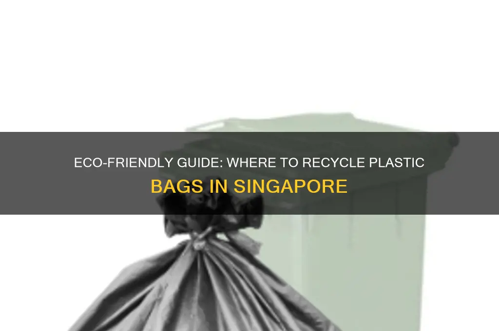where to recycle plastic bags in singapore