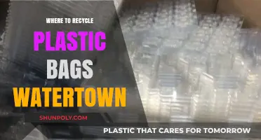 Where to Recycle Plastic Bags in Watertown: Eco-Friendly Disposal Guide