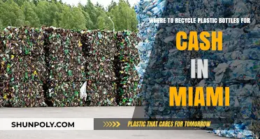 Earn Cash Recycling Plastic Bottles: Miami's Top Locations Revealed