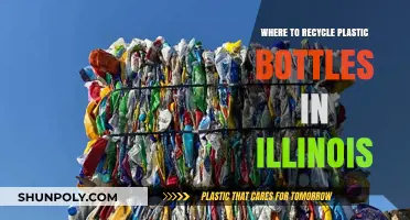 Illinois Plastic Bottle Recycling: Top Locations and Tips for Eco-Friendly Disposal