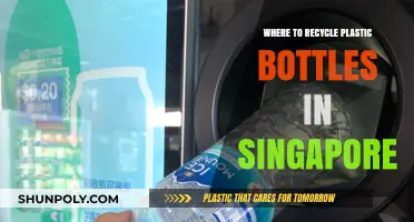 Eco-Friendly Guide: Where to Recycle Plastic Bottles in Singapore