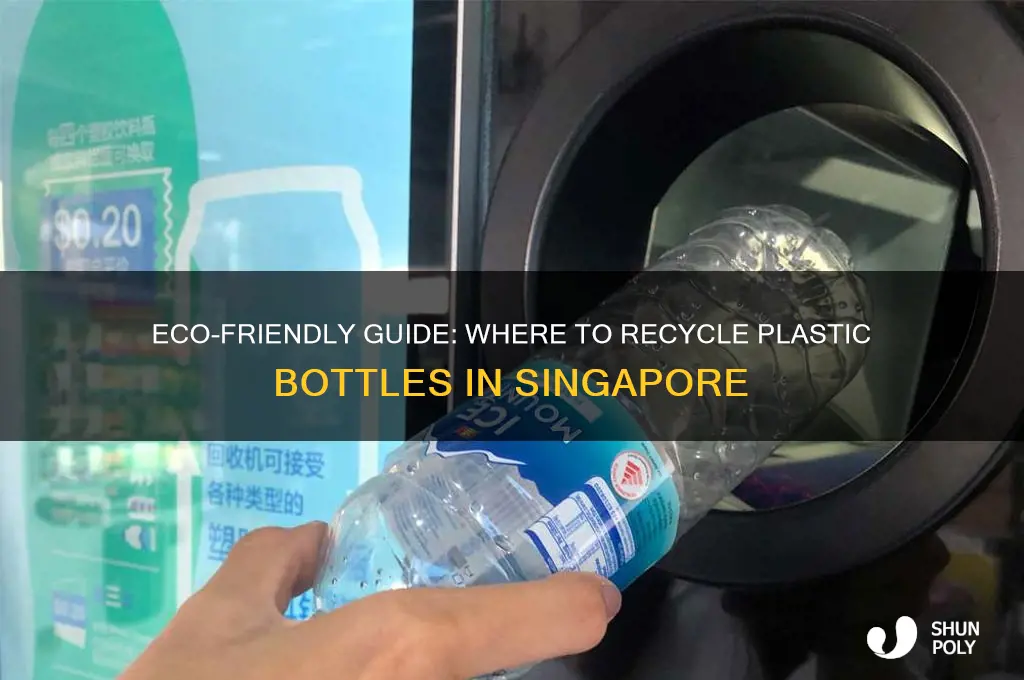 where to recycle plastic bottles in singapore