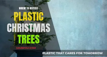 Recycling Plastic Christmas Trees: Where and How?