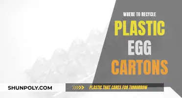 Recycling Plastic Egg Cartons: Where and How?