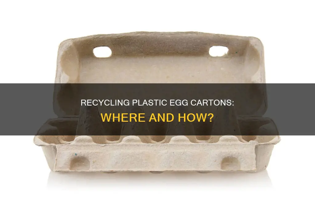 where to recycle plastic egg cartons