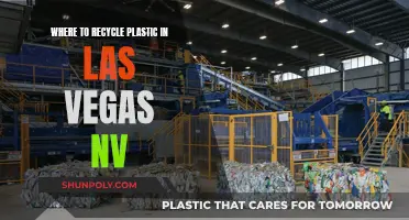 Las Vegas Plastic Recycling: Where to Go?