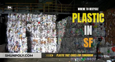 Recycling Revolution: SF's Plastic Haven