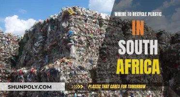 Recycling Revolution: South Africa's Plastic Redemption