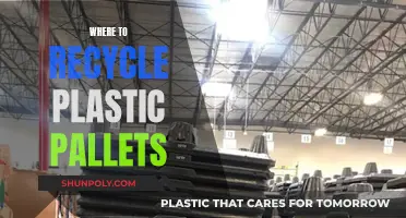 Recycling Plastic Pallets: Where to Go for Eco-Friendly Disposal