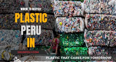 Recycling Revolution: Peru's Plastic Recycling Initiatives