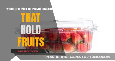 Recycling Plastic Fruit Containers: Where and How?