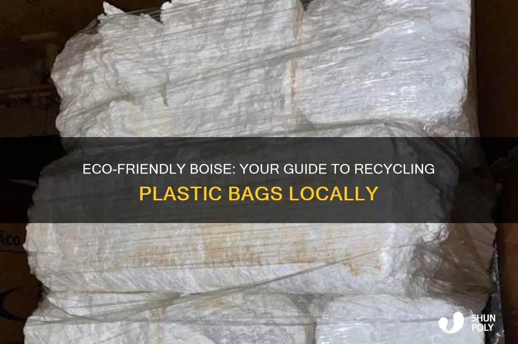 where to recycling plastic bags in boise