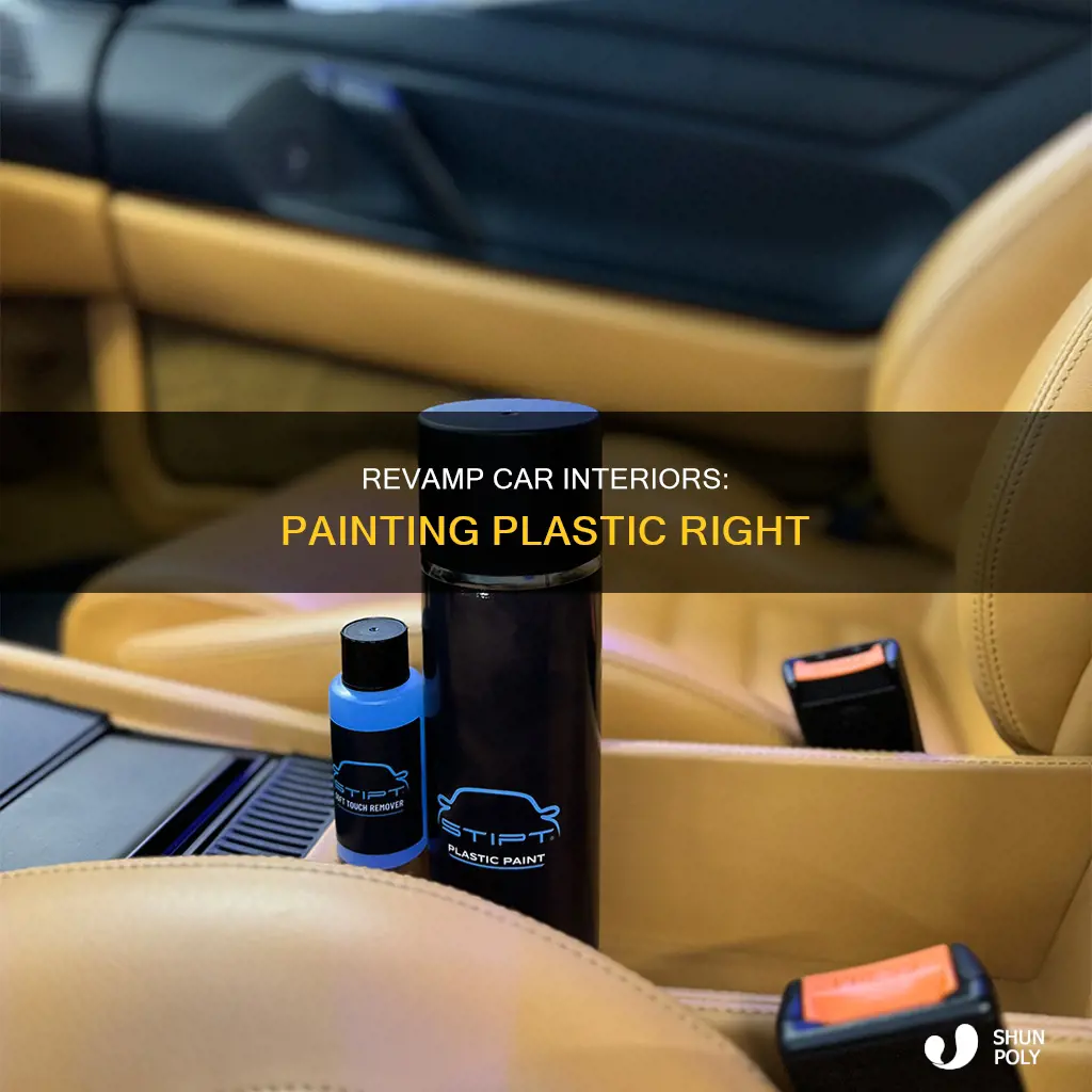 where to repaint car interior plastic