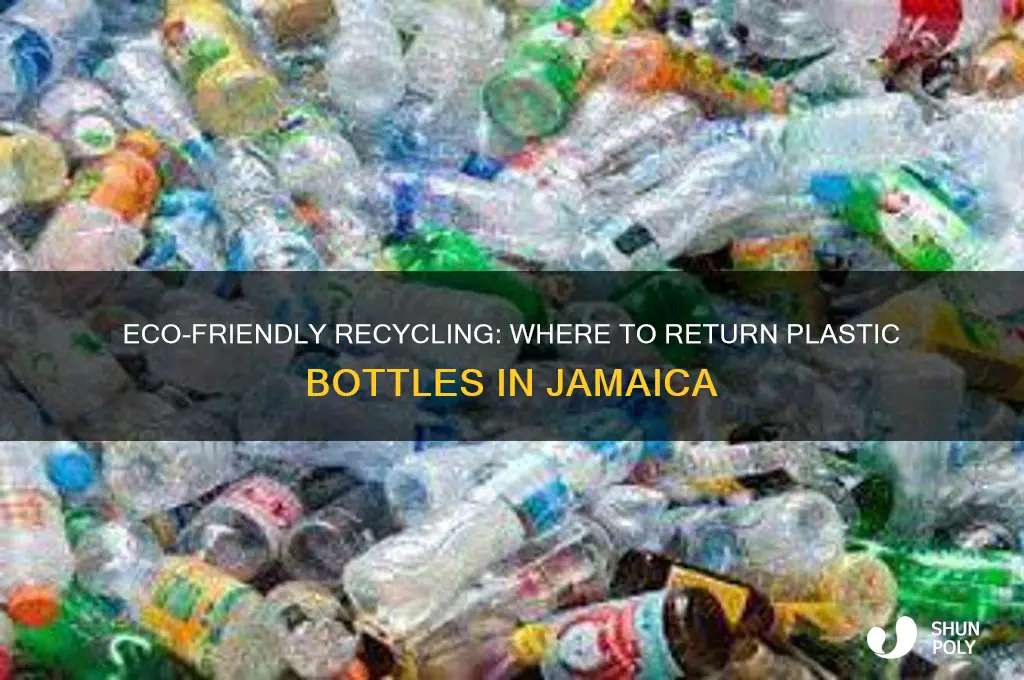 where to return plastic bottles in jamaica