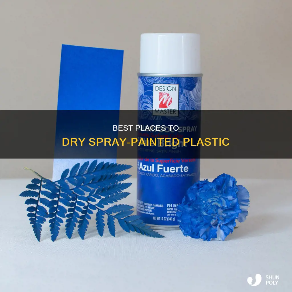 where to store spray painted plastic to dry