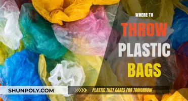 Eco-Friendly Disposal: Smart Ways to Recycle Plastic Bags Responsibly