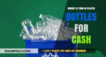 Earn Cash by Recycling: Top Spots to Turn In Plastic Bottles