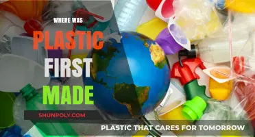 The Birthplace of Plastic: Uncovering Its Surprising Origins and History