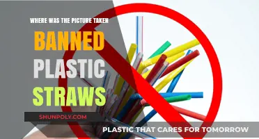 Plastic Straw Ban: A Visual Journey to Sustainable Alternatives
