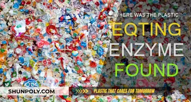 Scientists Discover Plastic-Eating Enzyme: Where Was It Found?