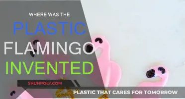 The Plastic Flamingo's Origin Story