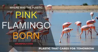 The Birthplace of the Plastic Pink Flamingo
