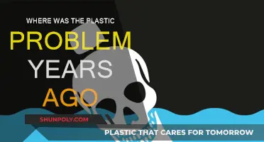 The Plastic Problem: A Historical Perspective