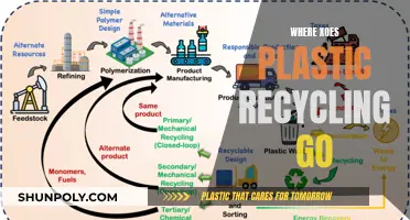 The Mystery of Plastic Recycling: Where Does It Go?