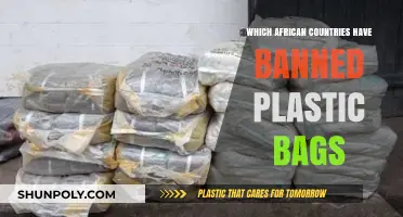 African Nations Leading the Charge: Plastic Bag Bans Across the Continent