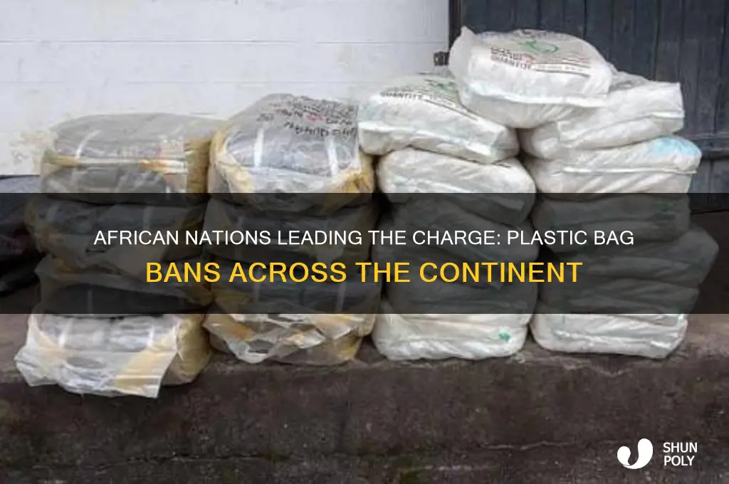 which african countries have banned plastic bags