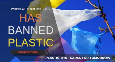 Plastic Bans: Which African Country is Leading the Way?