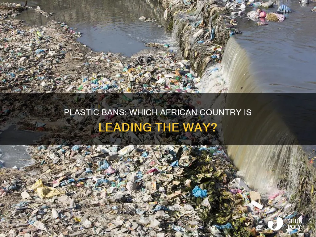 which african country has banned plastic