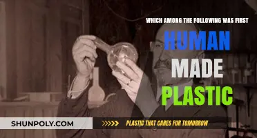 The First Human-Made Plastic: Unveiling the Pioneering Material