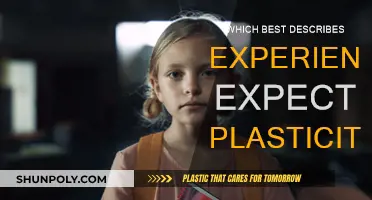 Experience Expectant Plasticity: Brain's Adaptive Response to Stimuli